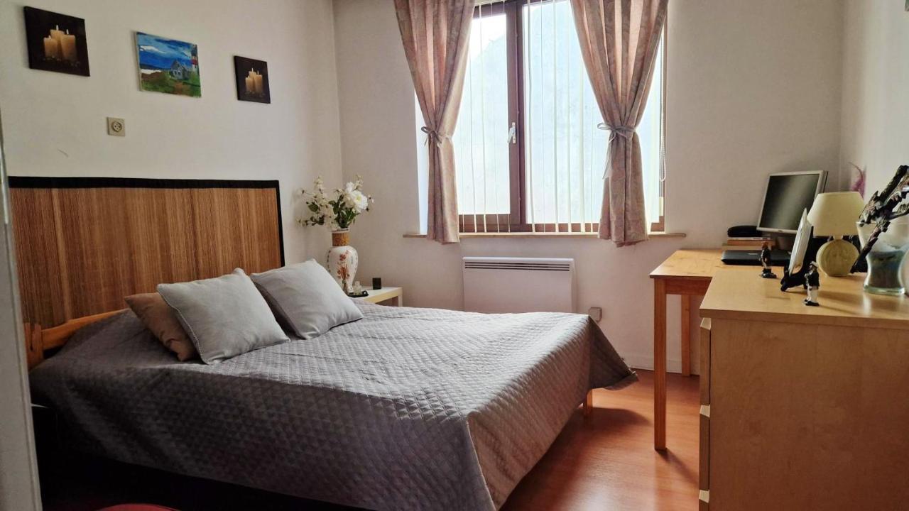 Spacious In With Balcony And Parking * Ostend